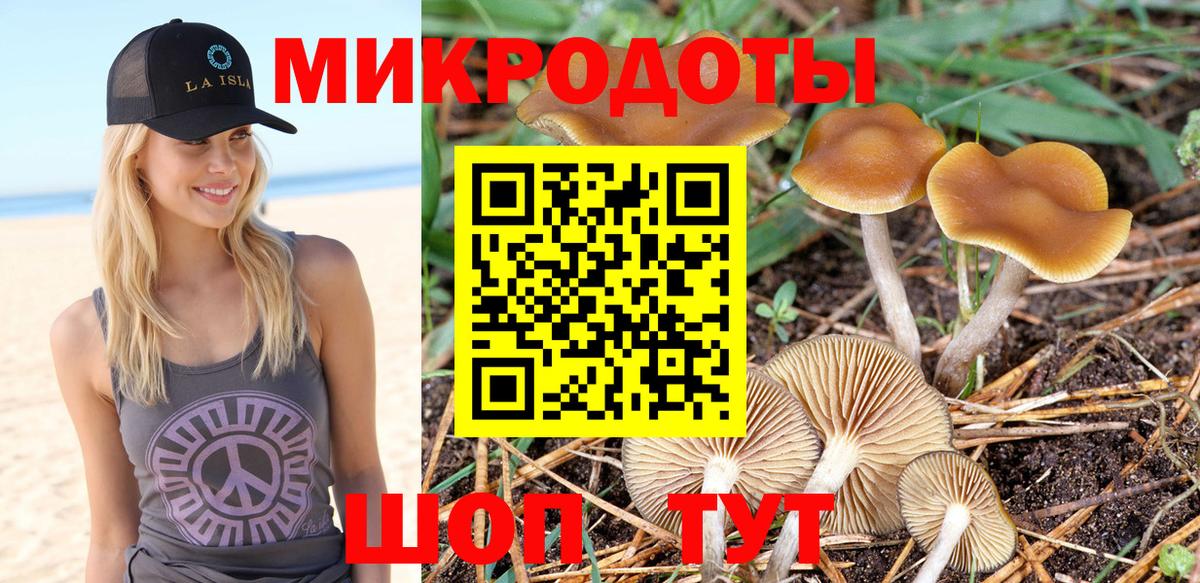 Галлюциногенные грибы MAGIC MUSHROOMS Новодвинск