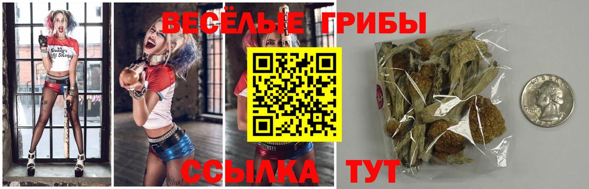 Псилоцибиновые грибы ЛСД  Вход с VPN  Новодвинск 